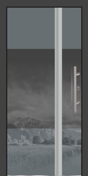 Vstupní dveře GD-07